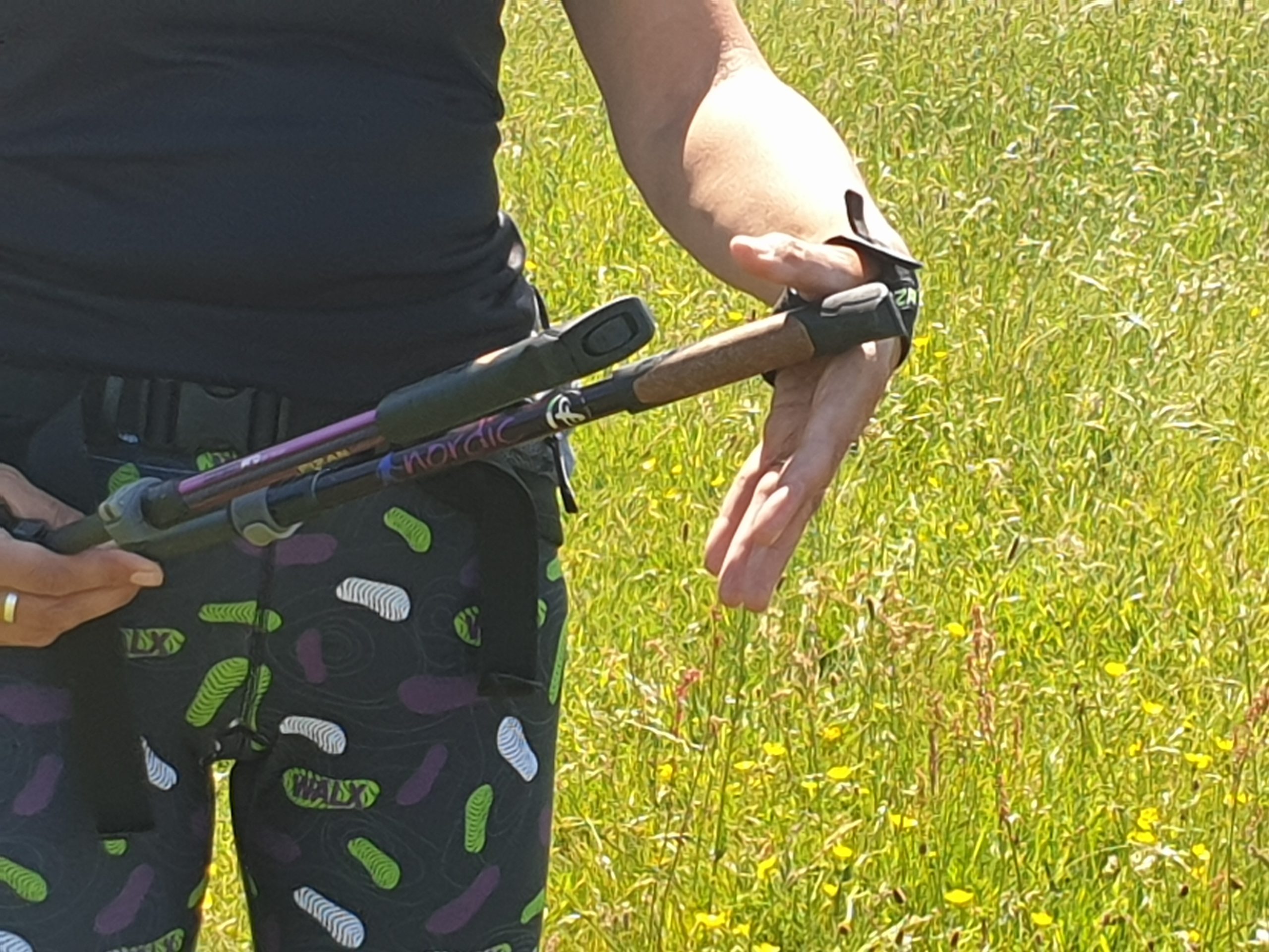 nordic walking poles with traditional straps